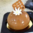 本站按公开材料组织页面