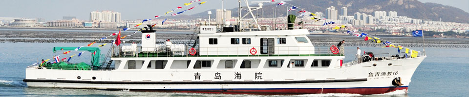 以下内容与「竞彩足球计算器胜负新人权