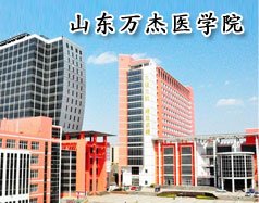 可按栏目扩展阅读相关条目