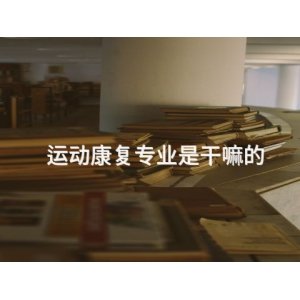 临安电贝司专业怎么样