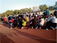 竞彩足彩计算器官网入口