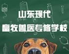 竞彩足球计算器胜负