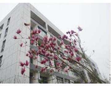 继续竞彩足球计算器胜负官方网站