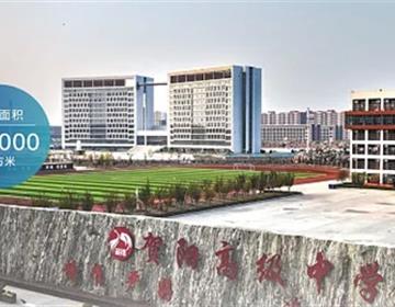 地址：菏泽